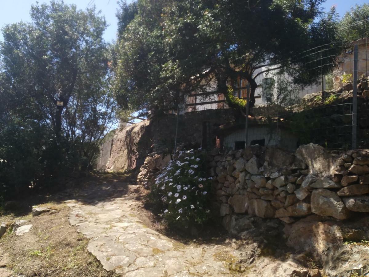 Villa Cá da Marta Q4526 Carloforte  Exterior foto